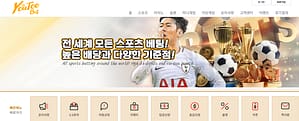 먹튀사이트 먹튀검증 유투벳