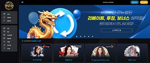 먹튀사이트 먹튀검증 원타임