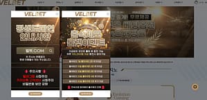 먹튀사이트 먹튀검증 벨벳