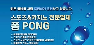 먹튀검증 먹튀사이트 퐁