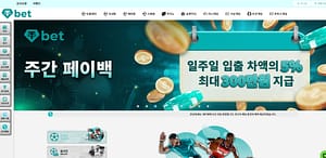 먹튀사이트 먹튀검증 테더뱃