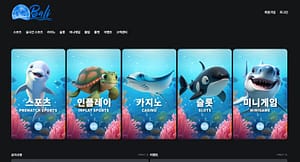 먹튀사이트 먹튀검증 발리