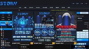 먹튀사이트 먹튀검증 스토리