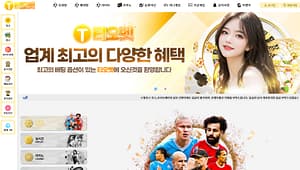 먹튀사이트 먹튀검증 티오벳