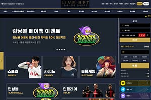 먹튀사이트 먹튀검증 라이브벳