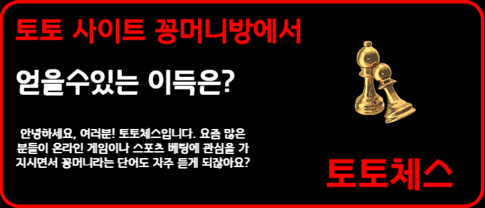 토토 사이트 꽁머니방에서 얻을수있는 이득은?